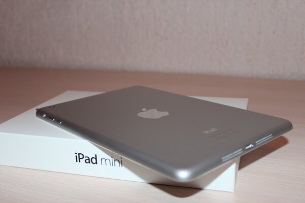 ipadmini1.jpg