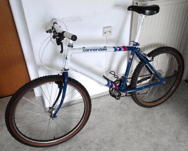 Cannondale_SM600_05.JPG