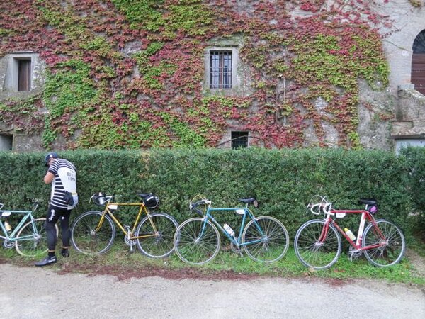 bikes and vines.jpg