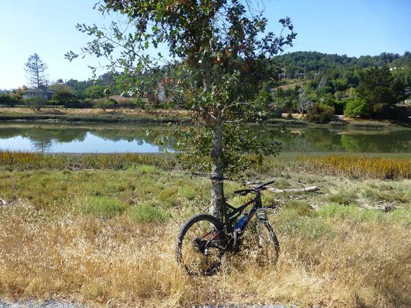 Corte Madera Creek.jpg