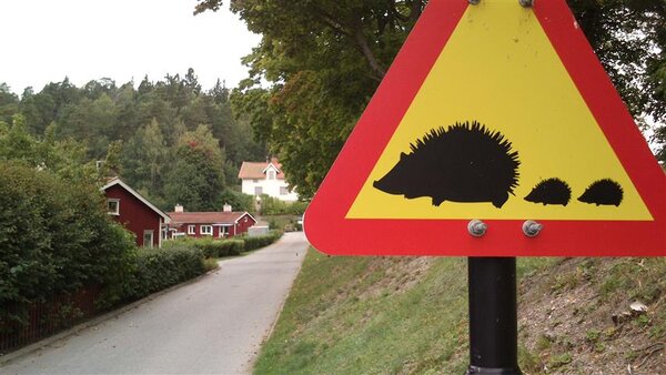 best road sign ever.jpg