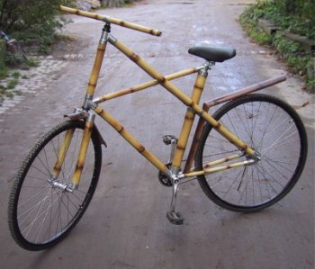 BambooBicycle.jpg