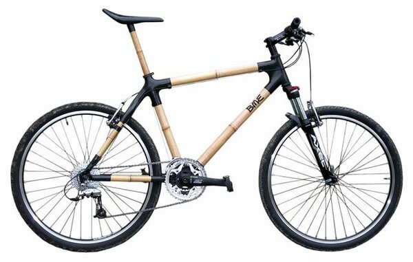 bamboobike.jpg