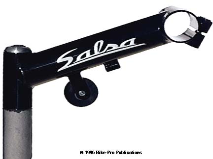 salsa stem.jpg