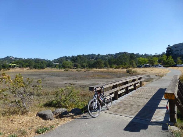 Tidal Wetlands.jpg