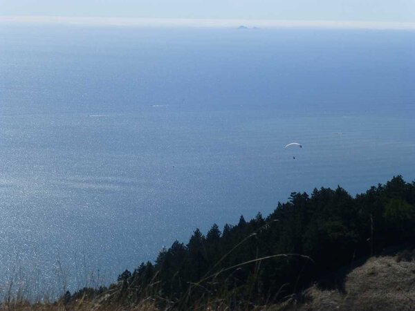 Farallon islands in background.jpg