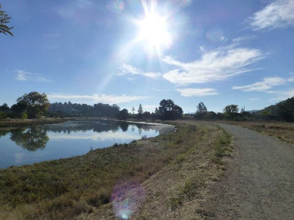 Corte Madera Creek.jpg