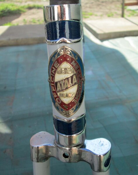 headbadge.jpg