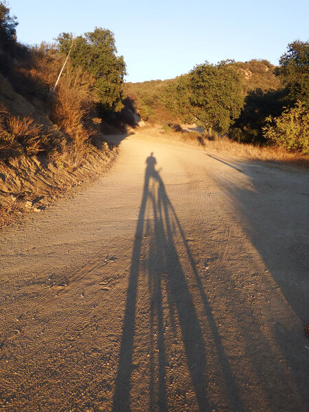 sf.Todays Ride 10-14-14 b.web.jpg