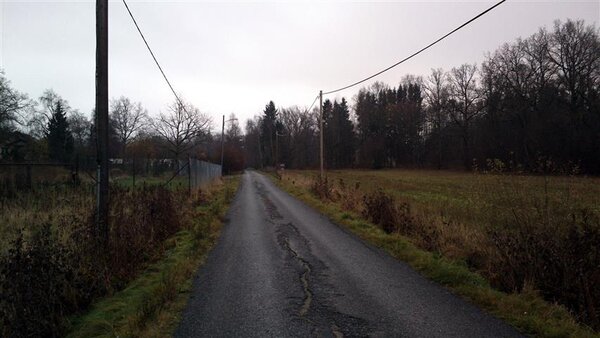 country lane.jpg