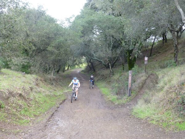 Top of Shaver Grade.jpg