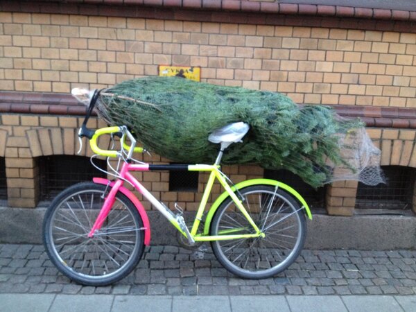 treebike copy.jpg