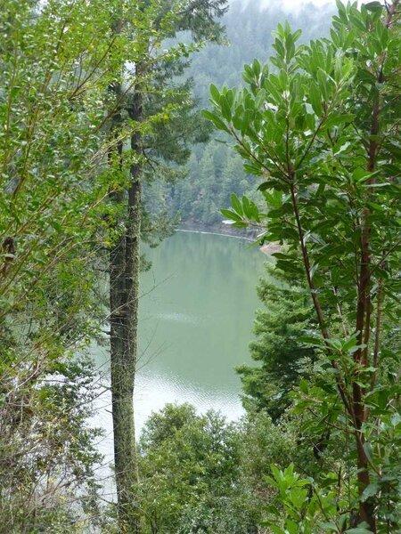 Above Kent Lake.jpg