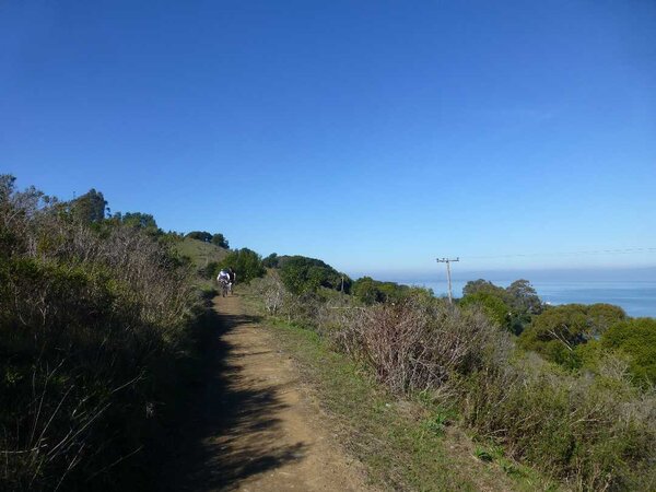 China Camp Trail.jpg