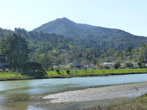 Corte Madera Creek.jpg