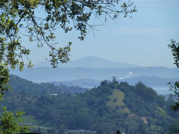 Red Hill and Mt. Diablo.jpg