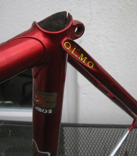 olmo5.jpg