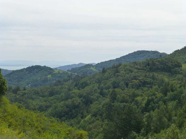 Hills of Marin.jpg