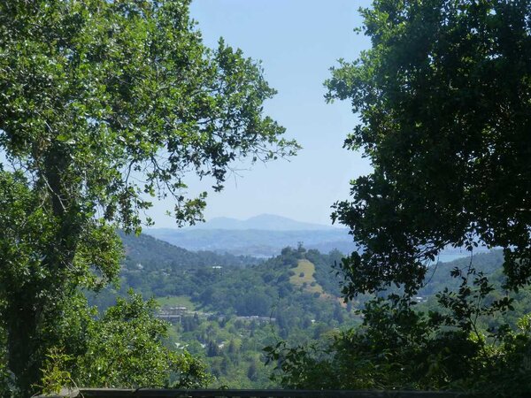 Red Hill and Mt. Diablo.jpg