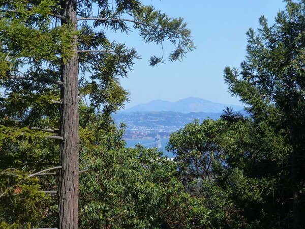 Mt. Diablo and the Bay.jpg