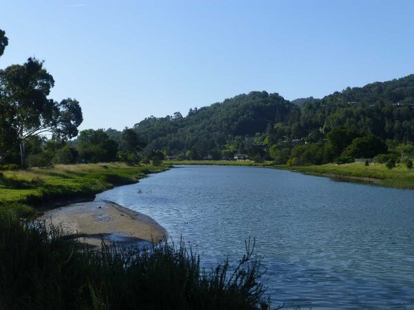 Corte Madera Creek.jpg