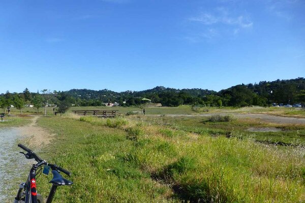 Tidal Wetlands.jpg