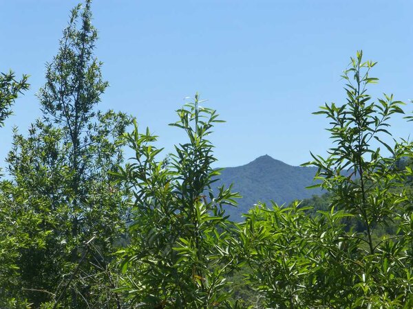 Mt. Tam.jpg