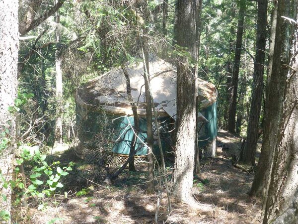 Yurt in the woods.jpg