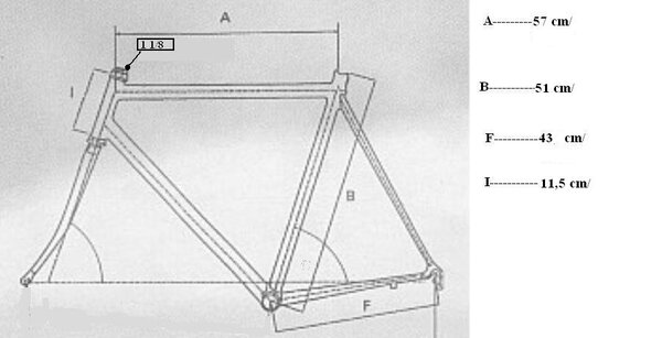 geometria ParkPre.JPG