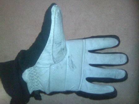 LH Glove.jpg