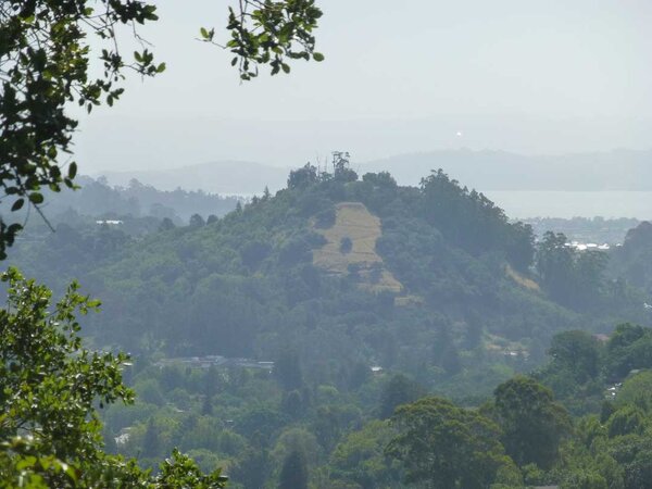 Red Hill and the Bay.jpg