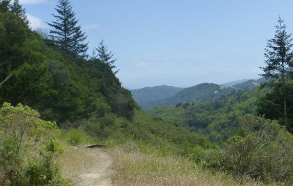 View towards SF Bay.jpg