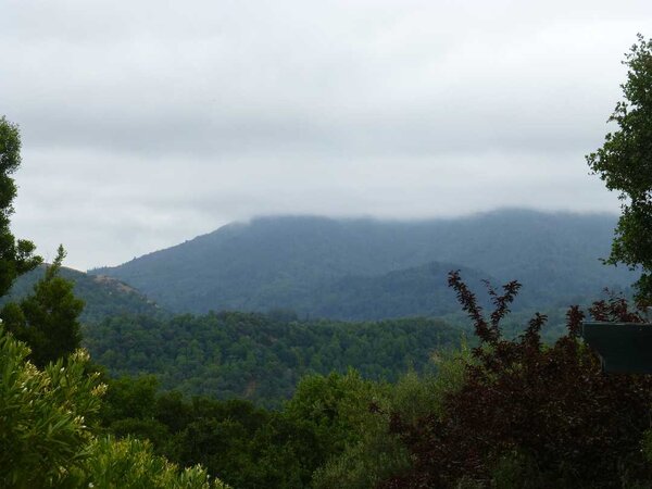 Cloudy Mt. Tam.jpg