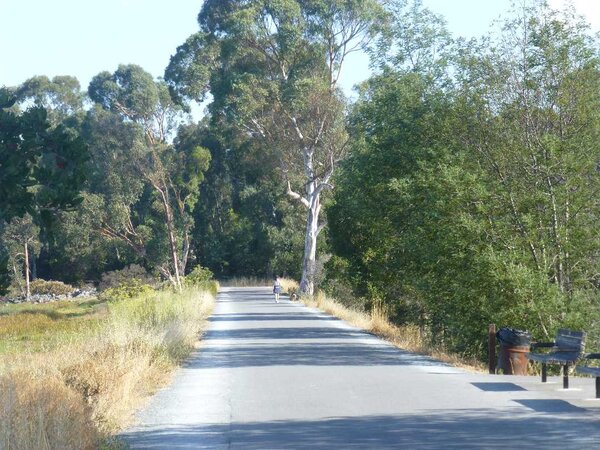 Bike Path.jpg