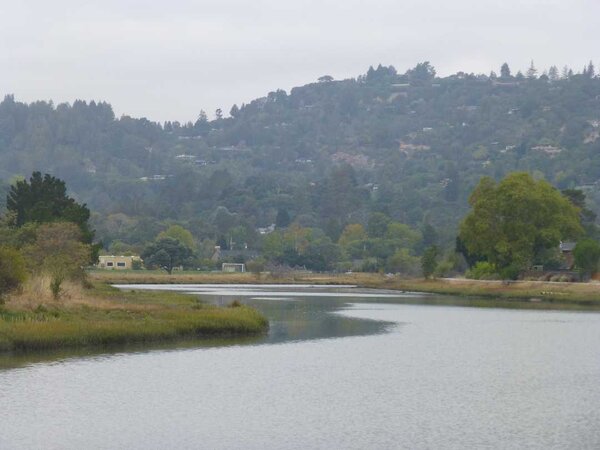 Corte Madera Creek.jpg