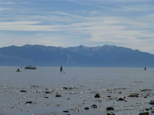 Paddle boards.jpg