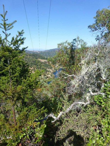 Above Phoenix Lake.jpg