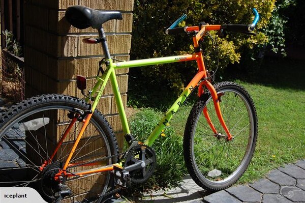 1990 Muirwoods OrangeYellow.jpg