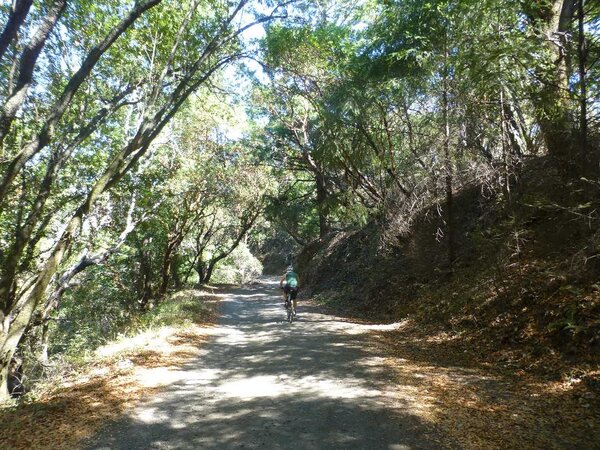 Descending Iron Springs road.jpg