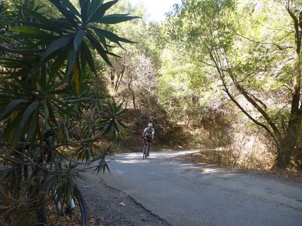 Descending Iron Springs road.jpg