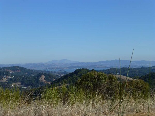 Mt. Diablo and the Bay.jpg