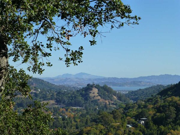 Red Hill, the Bay, Mt. Diablo.jpg