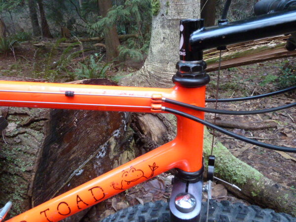 Off Road Toad Orange 004.JPG