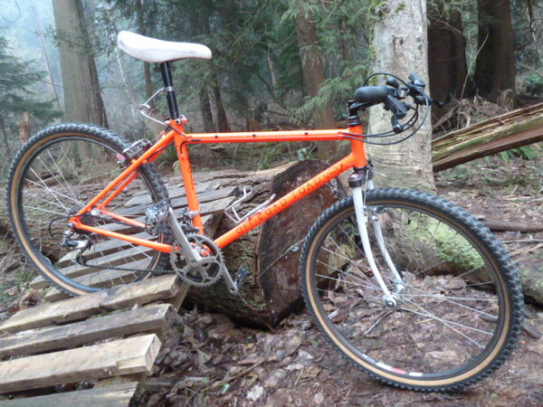 Off Road Toad Orange 001.JPG