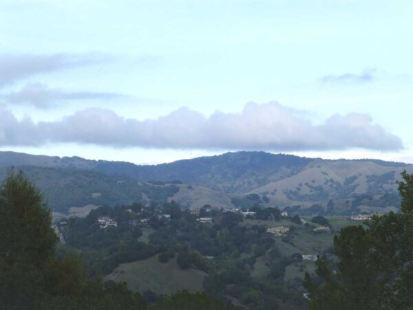 In the Fairfax hills.jpg