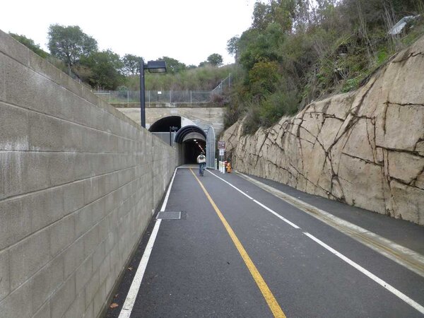 Bike-Rail tunnel.jpg