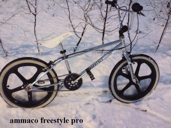 freestyle pro 4.jpg