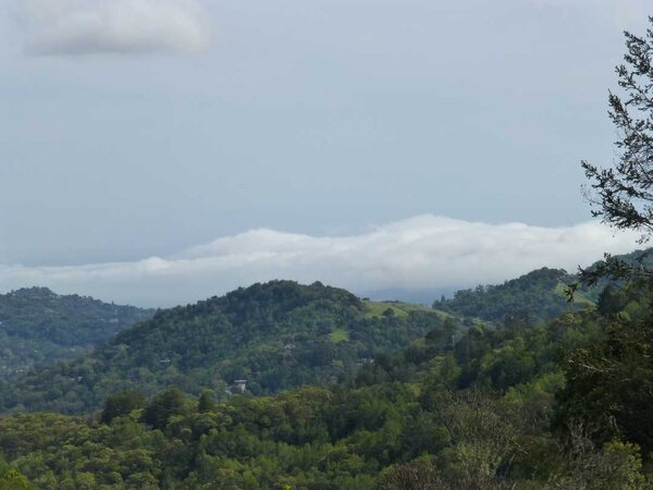 Fog over the Bay.jpg