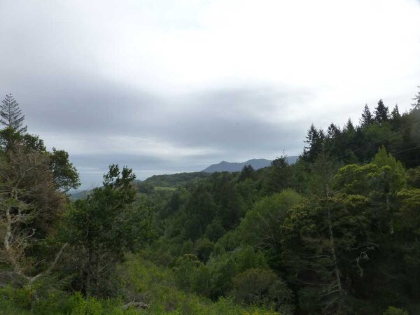 Moody skies over Tam.jpg