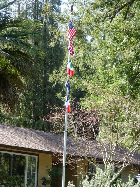 Multi National flagpole.jpg